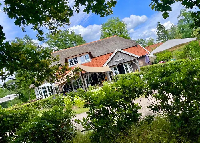 Diamond Suite In The Woods